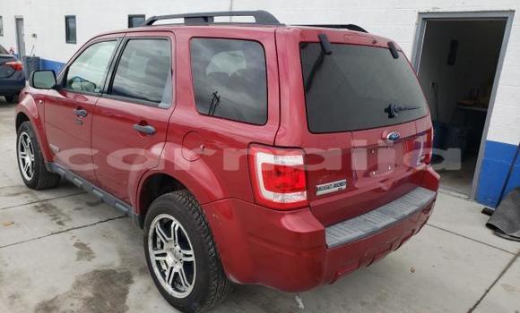 Buy New Ford Escape Other Car in Lagos in Lagos State Buy New Ford Escape Other Car in Lagos in Lagos State