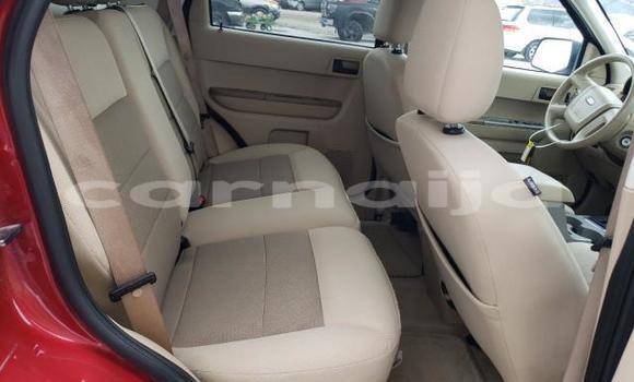 Buy New Ford Escape Other Car in Lagos in Lagos State Buy New Ford Escape Other Car in Lagos in Lagos State