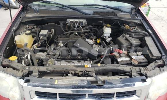 Buy New Ford Escape Other Car in Lagos in Lagos State Buy New Ford Escape Other Car in Lagos in Lagos State