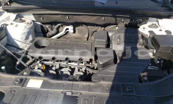 Buy New Kia Sorento Other Car in Lagos in Lagos State Buy New Kia Sorento Other Car in Lagos in Lagos State