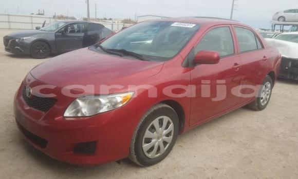 Buy New Toyota Corolla Other Car in Lagos in Lagos State Buy New Toyota Corolla Other Car in Lagos in Lagos State
