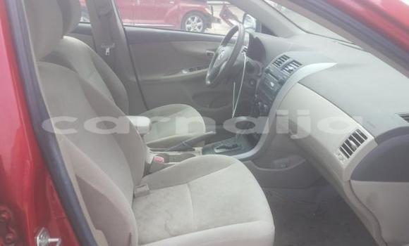 Buy New Toyota Corolla Other Car in Lagos in Lagos State Buy New Toyota Corolla Other Car in Lagos in Lagos State