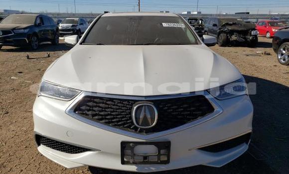 Buy New Acura TLX White Car in Badagry in Lagos State