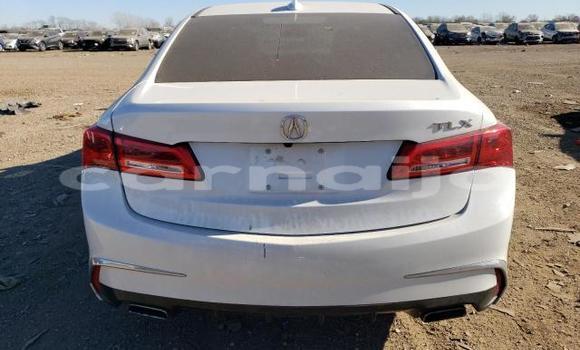 Buy New Acura TLX White Car in Badagry in Lagos State Buy New Acura TLX White Car in Badagry in Lagos State