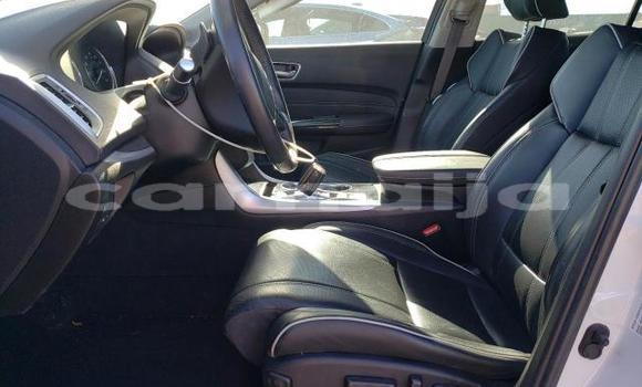 Buy New Acura TLX White Car in Badagry in Lagos State Buy New Acura TLX White Car in Badagry in Lagos State