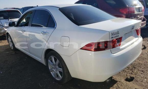 Acheter Neuf Voiture Acura TSX Blanc à Lagos, État de Lagos Acheter Neuf Voiture Acura TSX Blanc à Lagos, État de Lagos