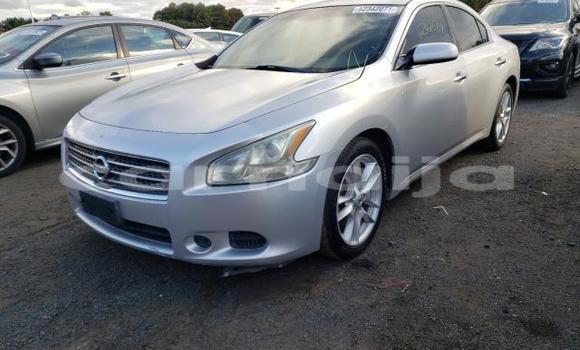 Buy Used Nissan Maxima Other Car in Lagos in Lagos State