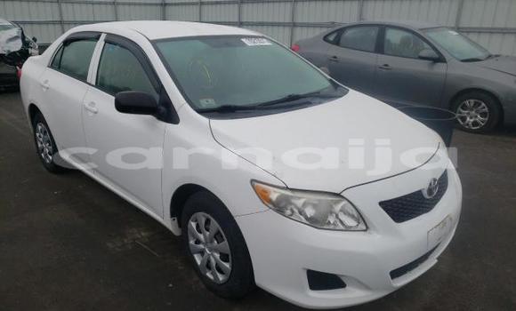 Buy Used Toyota Corolla Other Car in Lagos in Lagos State