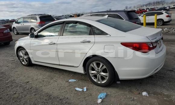 Acheter Neuf Voiture Hyundai Sonata Blanc à Lagos, État de Lagos Acheter Neuf Voiture Hyundai Sonata Blanc à Lagos, État de Lagos