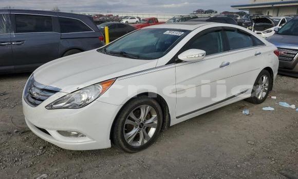 Acheter Neuf Voiture Hyundai Sonata Blanc à Lagos, État de Lagos Acheter Neuf Voiture Hyundai Sonata Blanc à Lagos, État de Lagos