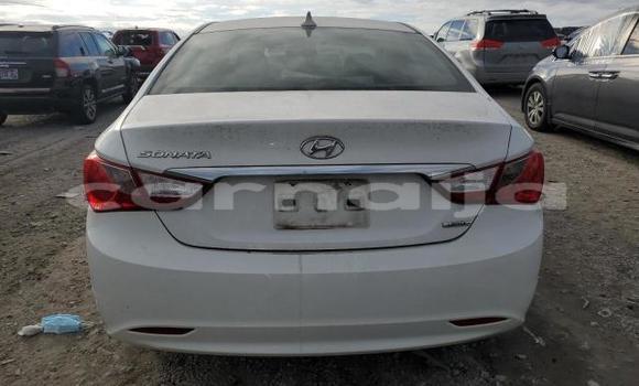 Acheter Neuf Voiture Hyundai Sonata Blanc à Lagos, État de Lagos Acheter Neuf Voiture Hyundai Sonata Blanc à Lagos, État de Lagos