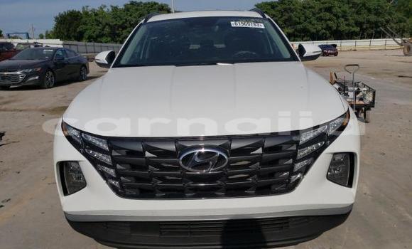 Buy New Hyundai Tucson White Car in Lagos in Lagos State Buy New Hyundai Tucson White Car in Lagos in Lagos State