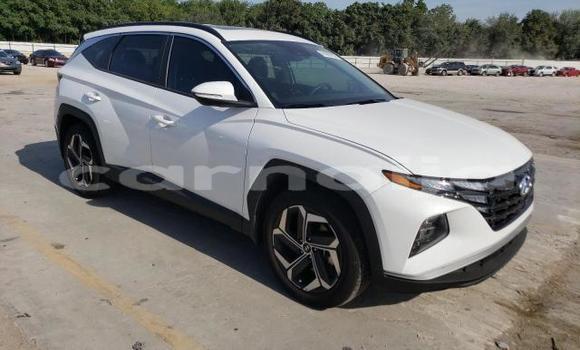 Buy New Hyundai Tucson White Car in Lagos in Lagos State Buy New Hyundai Tucson White Car in Lagos in Lagos State