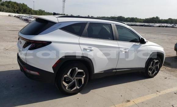 Buy New Hyundai Tucson White Car in Lagos in Lagos State Buy New Hyundai Tucson White Car in Lagos in Lagos State