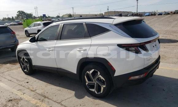 Buy New Hyundai Tucson White Car in Lagos in Lagos State Buy New Hyundai Tucson White Car in Lagos in Lagos State
