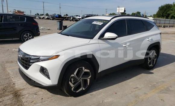 Buy New Hyundai Tucson White Car in Lagos in Lagos State Buy New Hyundai Tucson White Car in Lagos in Lagos State