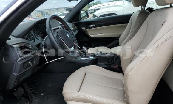 Buy New BMW 2-Series Blue Car in Badagry in Lagos State Buy New BMW 2-Series Blue Car in Badagry in Lagos State