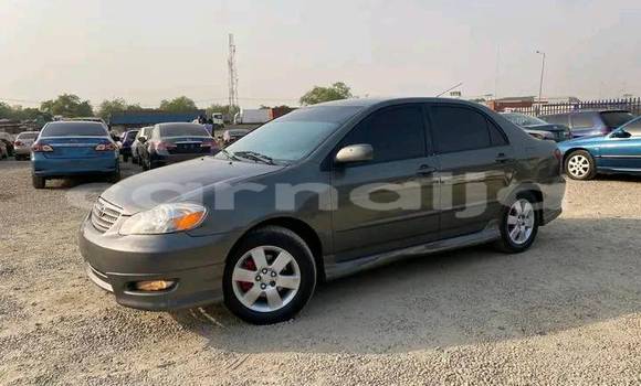 Buy Used Toyota Corolla Other Car in Abuja in Lagos State