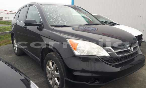 Buy Import Honda CR–V Other Car in Lagos in Lagos State Buy Import Honda CR–V Other Car in Lagos in Lagos State
