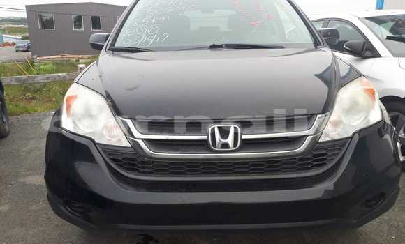Buy Import Honda CR–V Other Car in Lagos in Lagos State Buy Import Honda CR–V Other Car in Lagos in Lagos State