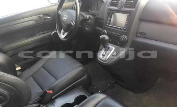 Buy Import Honda CR–V Other Car in Lagos in Lagos State Buy Import Honda CR–V Other Car in Lagos in Lagos State