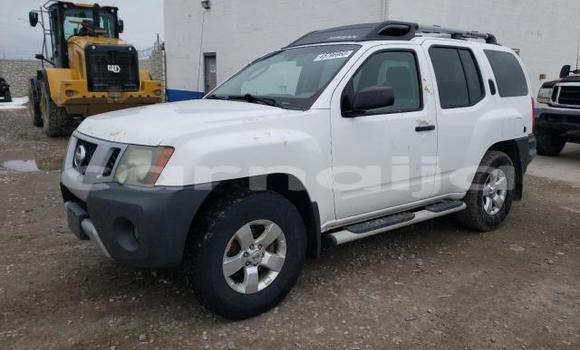 Buy Import Nissan Xterra Other Car in Lagos in Lagos State