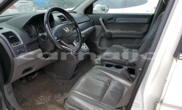 Acheter Import Voiture Honda CR–V Autre à Lagos, État de Lagos Acheter Import Voiture Honda CR–V Autre à Lagos, État de Lagos