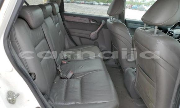 Acheter Import Voiture Honda CR–V Autre à Lagos, État de Lagos Acheter Import Voiture Honda CR–V Autre à Lagos, État de Lagos