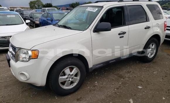 Buy Import Ford Escape Other Car in Lagos in Lagos State