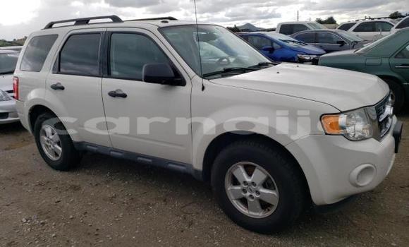 Acheter Import Voiture Ford Escape Autre à Lagos, État de Lagos Acheter Import Voiture Ford Escape Autre à Lagos, État de Lagos