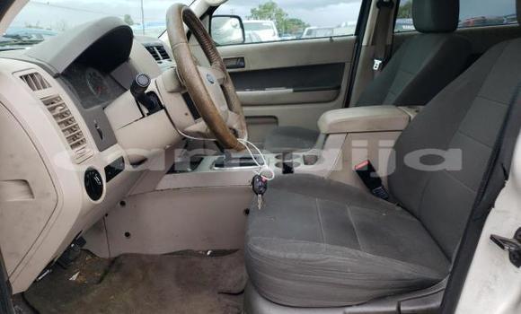 Acheter Import Voiture Ford Escape Autre à Lagos, État de Lagos Acheter Import Voiture Ford Escape Autre à Lagos, État de Lagos