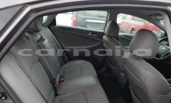Acheter Import Voiture Hyundai Sonata Autre à Lagos, État de Lagos Acheter Import Voiture Hyundai Sonata Autre à Lagos, État de Lagos