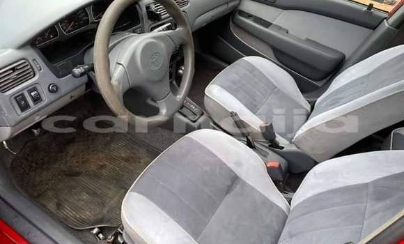 Acheter Import Voiture Toyota Starlet Rouge à Daura, Katsina Acheter Import Voiture Toyota Starlet Rouge à Daura, Katsina