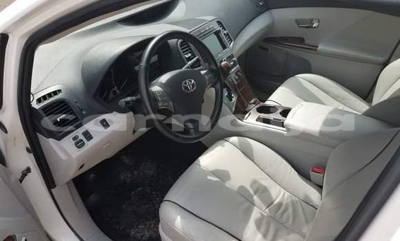 Acheter Import Voiture Toyota Venza Blanc à Daura, Katsina Acheter Import Voiture Toyota Venza Blanc à Daura, Katsina