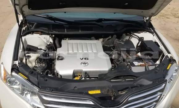 Acheter Import Voiture Toyota Venza Blanc à Daura, Katsina Acheter Import Voiture Toyota Venza Blanc à Daura, Katsina