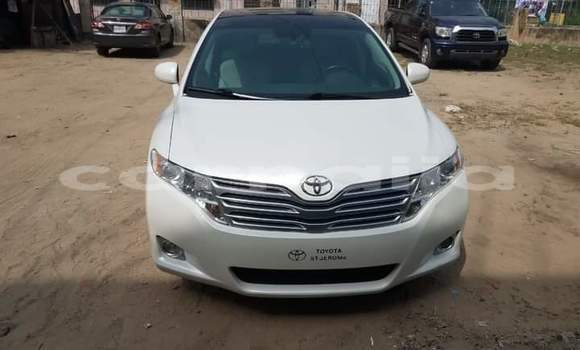 Acheter Import Voiture Toyota Venza Blanc à Daura, Katsina Acheter Import Voiture Toyota Venza Blanc à Daura, Katsina