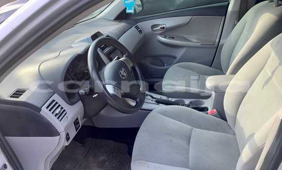 Buy Used Toyota Corolla Other Car in Abakaliki in Ebonyi State Buy Used Toyota Corolla Other Car in Abakaliki in Ebonyi State