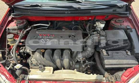 Acheter Import Voiture Toyota Corolla Rouge à Daura, Katsina Acheter Import Voiture Toyota Corolla Rouge à Daura, Katsina