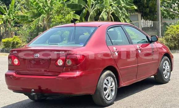 Acheter Import Voiture Toyota Corolla Rouge à Daura, Katsina Acheter Import Voiture Toyota Corolla Rouge à Daura, Katsina
