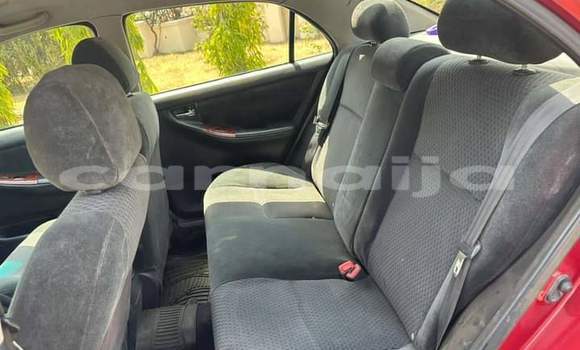 Acheter Import Voiture Toyota Corolla Rouge à Daura, Katsina Acheter Import Voiture Toyota Corolla Rouge à Daura, Katsina