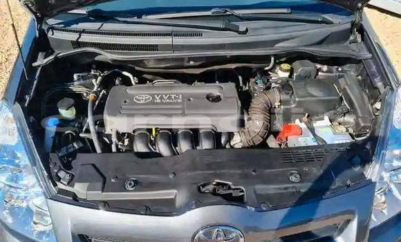 Acheter Import Voiture Toyota Corolla Verso Autre à Daura, Katsina Acheter Import Voiture Toyota Corolla Verso Autre à Daura, Katsina