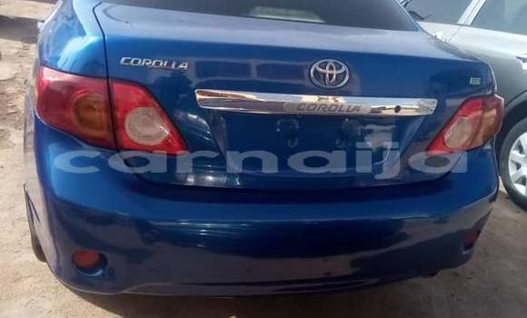 Buy Import Toyota Corolla Blue Car in Daura in Katsina