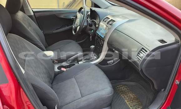 Acheter Import Voiture Toyota Corolla Rouge à Daura, Katsina Acheter Import Voiture Toyota Corolla Rouge à Daura, Katsina