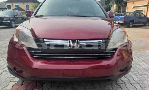 Buy Used Honda CR–V Red Car in Abuja in Lagos State