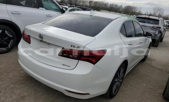 Acheter Neuf Voiture Acura TLX Blanc à Lagos, État de Lagos Acheter Neuf Voiture Acura TLX Blanc à Lagos, État de Lagos