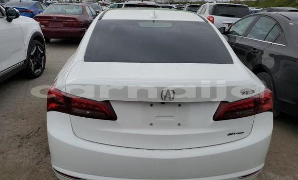 Acheter Neuf Voiture Acura TLX Blanc à Lagos, État de Lagos Acheter Neuf Voiture Acura TLX Blanc à Lagos, État de Lagos