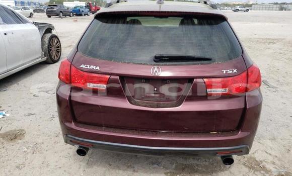 Buy New Acura TSX Other Car in Lagos in Lagos State Buy New Acura TSX Other Car in Lagos in Lagos State