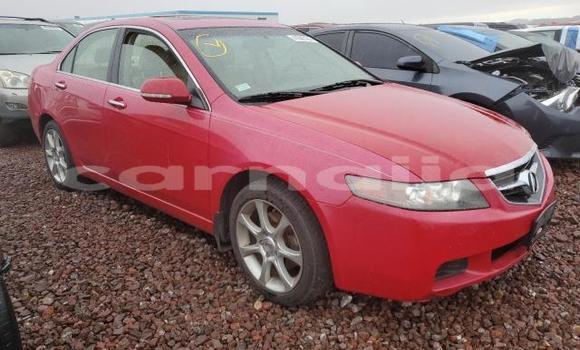 Buy New Acura TSX Red Car in Lagos in Lagos State Buy New Acura TSX Red Car in Lagos in Lagos State