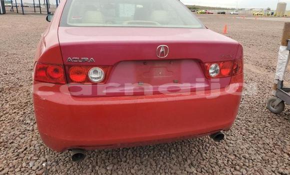 Buy New Acura TSX Red Car in Lagos in Lagos State Buy New Acura TSX Red Car in Lagos in Lagos State