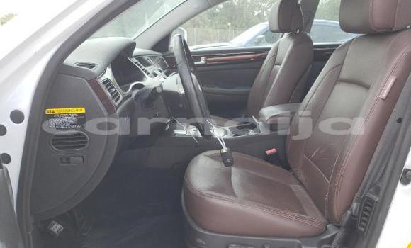 Acheter Neuf Voiture Hyundai Genesis Blanc à Lagos, État de Lagos Acheter Neuf Voiture Hyundai Genesis Blanc à Lagos, État de Lagos